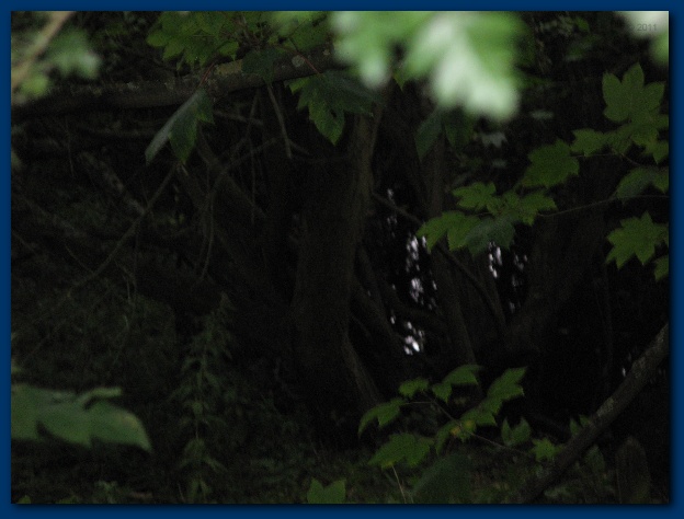 600x449 pixels (92K)